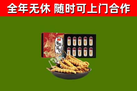 胡杨河回收冬虫夏草价格