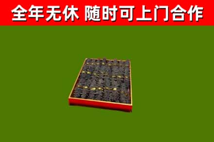 胡杨河烟酒回收海参.jpg